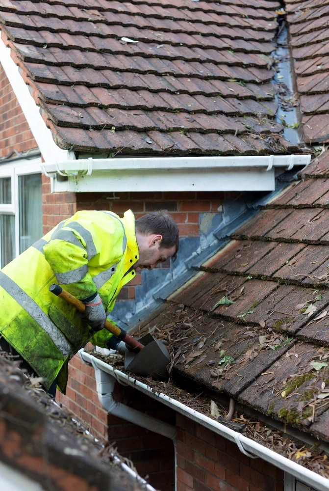 Gutter before cleaning